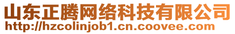 山東正騰網絡科技有限公司