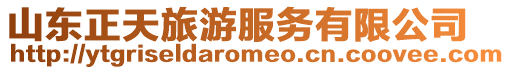 山東正天旅游服務有限公司