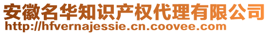 安徽名華知識產權代理有限公司