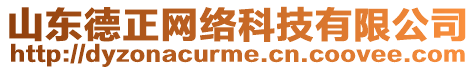 山東德正網絡科技有限公司