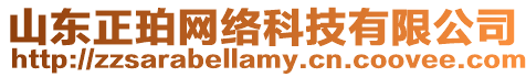 山東正珀網絡科技有限公司