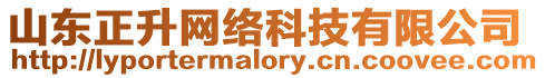 山東正升網絡科技有限公司