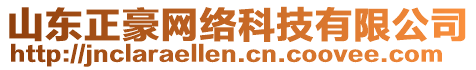 山東正豪網(wǎng)絡科技有限公司