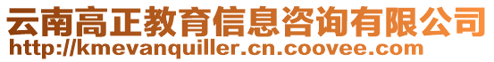 云南高正教育信息咨詢有限公司