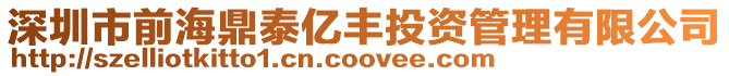 深圳市前海鼎泰億豐投資管理有限公司