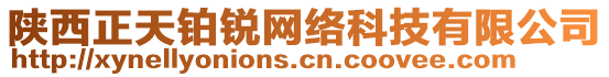 陜西正天鉑銳網絡科技有限公司