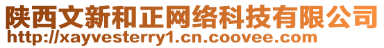 陜西文新和正網絡科技有限公司