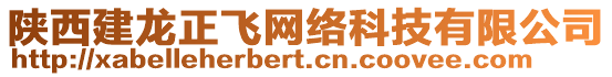 陜西建龍正飛網絡科技有限公司