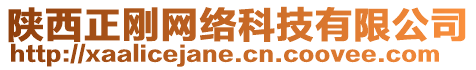 陜西正剛網(wǎng)絡(luò)科技有限公司