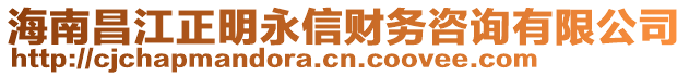海南昌江正明永信財務咨詢有限公司