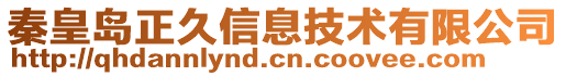 秦皇島正久信息技術(shù)有限公司