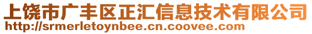 上饒市廣豐區正匯信息技術有限公司