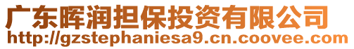 廣東暉潤(rùn)擔(dān)保投資有限公司