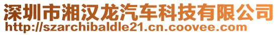 深圳市湘漢龍汽車科技有限公司