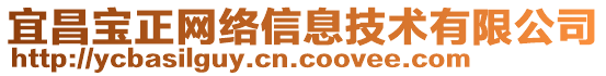 宜昌寶正網(wǎng)絡(luò)信息技術(shù)有限公司