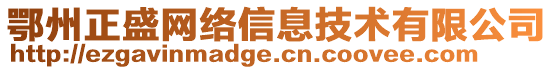 鄂州正盛網絡信息技術有限公司