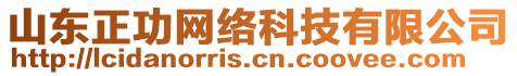 山東正功網(wǎng)絡(luò)科技有限公司