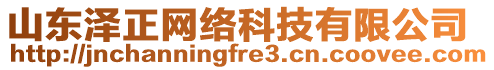 山東澤正網(wǎng)絡(luò)科技有限公司