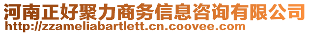 河南正好聚力商務(wù)信息咨詢有限公司