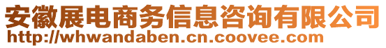 安徽展電商務(wù)信息咨詢有限公司