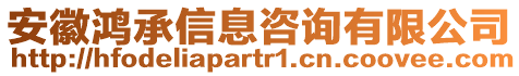 安徽鴻承信息咨詢有限公司