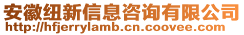 安徽紐新信息咨詢有限公司