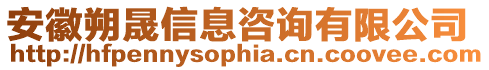 安徽朔晟信息咨詢有限公司