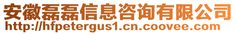 安徽磊磊信息咨詢(xún)有限公司