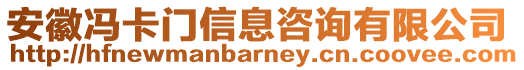 安徽馮卡門信息咨詢有限公司