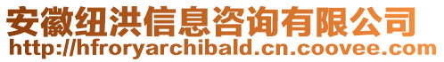 安徽紐洪信息咨詢有限公司