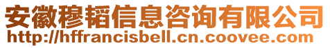 安徽穆韜信息咨詢有限公司