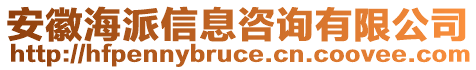 安徽海派信息咨詢有限公司