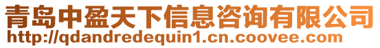 青島中盈天下信息咨詢有限公司