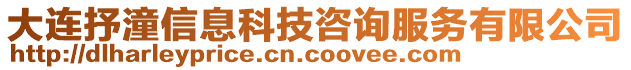 大連抒潼信息科技咨詢服務有限公司