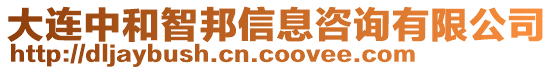 大連中和智邦信息咨詢有限公司
