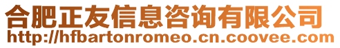 合肥正友信息咨詢有限公司