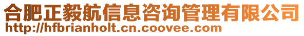 合肥正毅航信息咨詢管理有限公司
