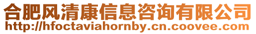 合肥風清康信息咨詢有限公司