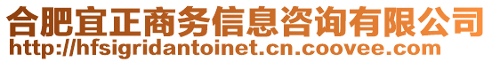 合肥宜正商務(wù)信息咨詢有限公司