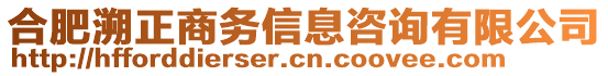 合肥溯正商務信息咨詢有限公司