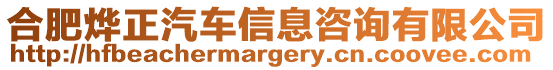 合肥燁正汽車信息咨詢有限公司
