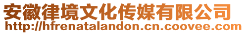 安徽律境文化傳媒有限公司