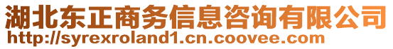 湖北東正商務(wù)信息咨詢有限公司