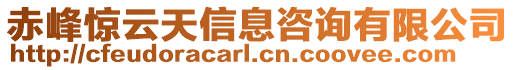 赤峰驚云天信息咨詢有限公司