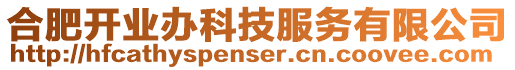 合肥開業(yè)辦科技服務(wù)有限公司