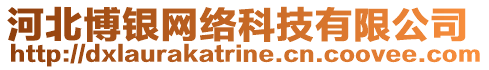 河北博銀網(wǎng)絡(luò)科技有限公司