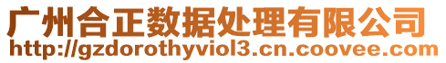 廣州合正數(shù)據(jù)處理有限公司