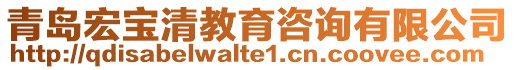 青島宏寶清教育咨詢有限公司
