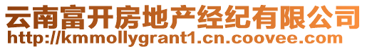 云南富開房地產經紀有限公司