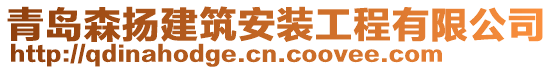 青島森揚建筑安裝工程有限公司